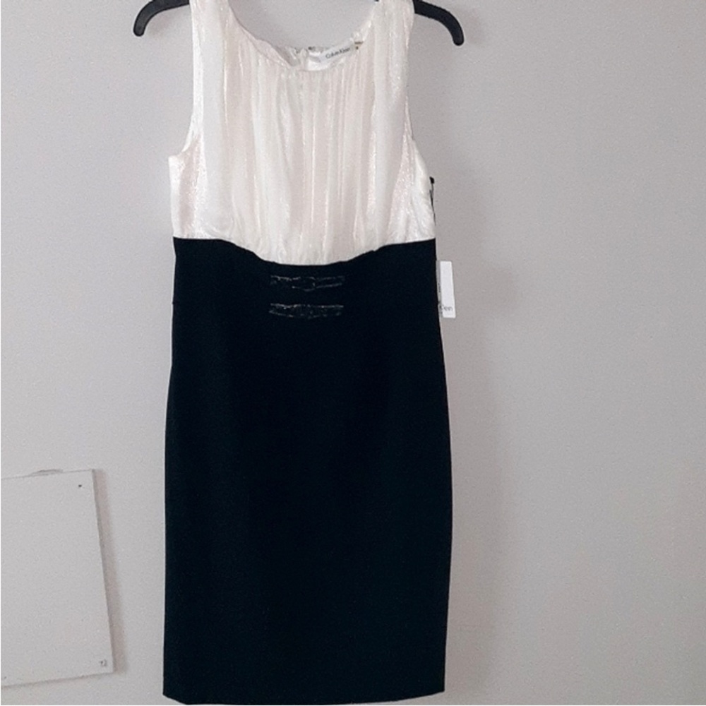 NWT CK Sheath